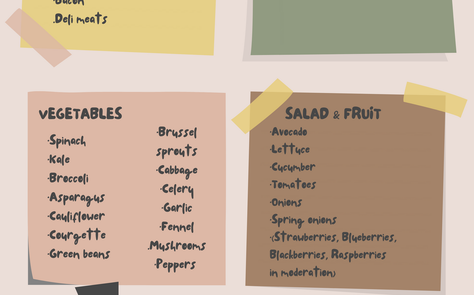 WHAT TO EAT ON A LOW CARB & KETO DIET (Including a handy shopping list)